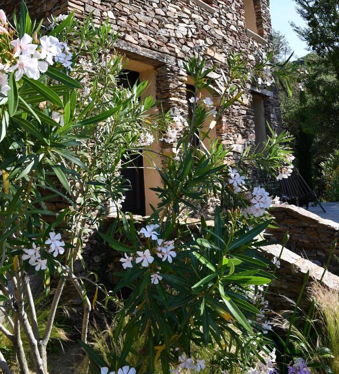 Saint-Tropez
Luxe 
Exclusivité
Chambres d'hôtes